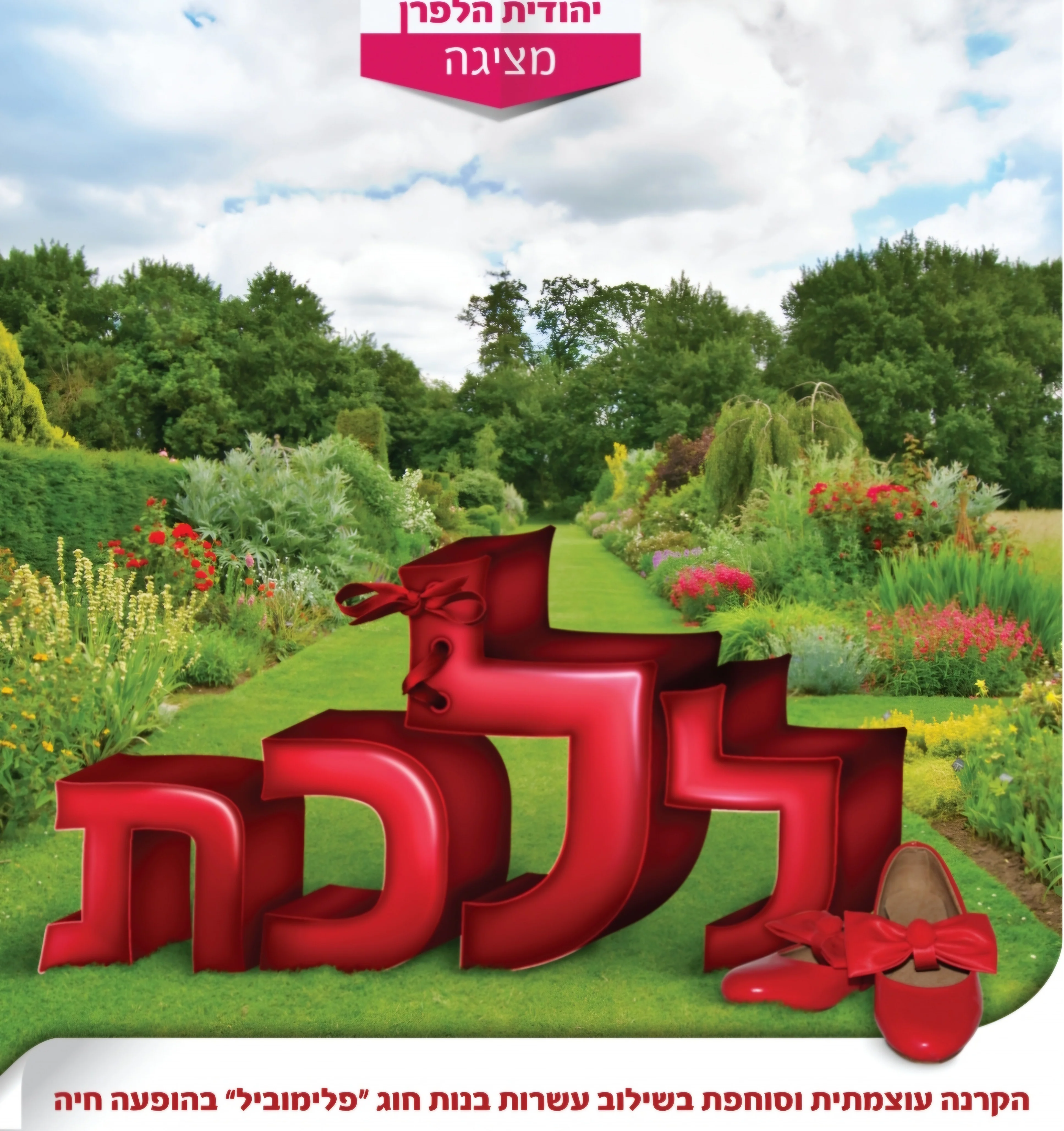 תמונה ממוזערת 1